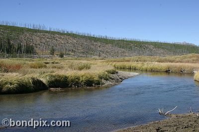 Yellowstone Park