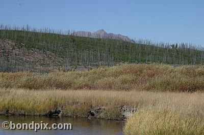 Yellowstone Park