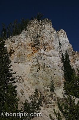 Yellowstone Park