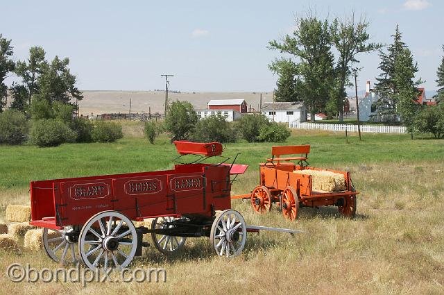 0957.jpg - Grant-Kohrs ranch hay wagons