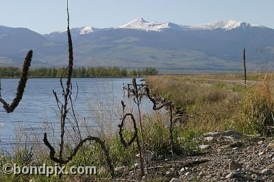 Mount Powell from Warm Springs Ponds, Montana