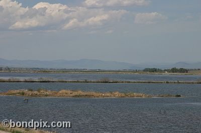 Warm Springs Ponds, Montana