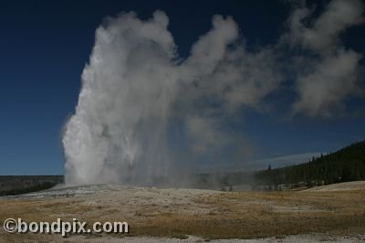 Old Faithful geyser errupts in Yellowstone Park