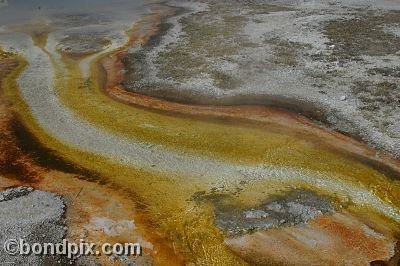 Some of the natural features of Yellowstone Park