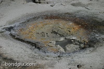 Some of the natural features of Yellowstone Park