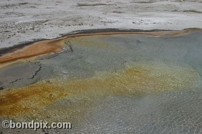 Some of the natural features of Yellowstone Park