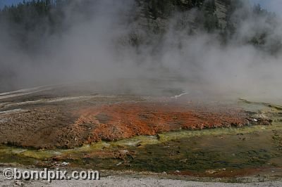 Some of the natural features of Yellowstone Park