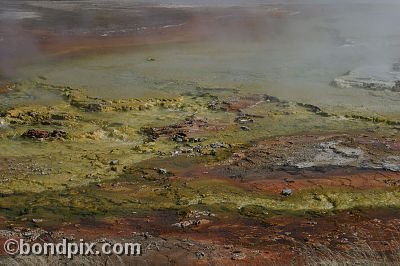 Some of the natural features of Yellowstone Park