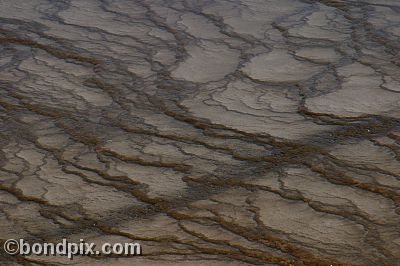 Some of the natural features of Yellowstone Park