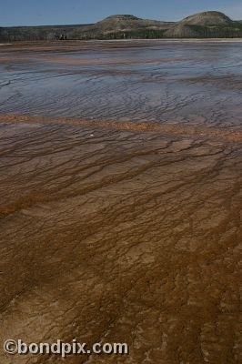 Some of the natural features of Yellowstone Park