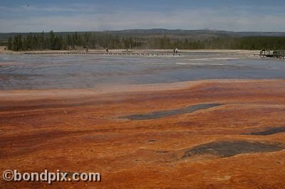 Some of the natural features of Yellowstone Park