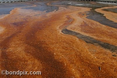 Some of the natural features of Yellowstone Park