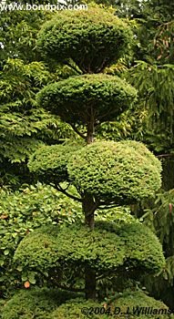 Colorful Butchart Gardens in Victoria, BC