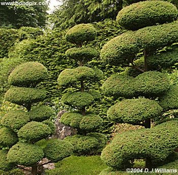 Colorful Butchart Gardens in Victoria, BC