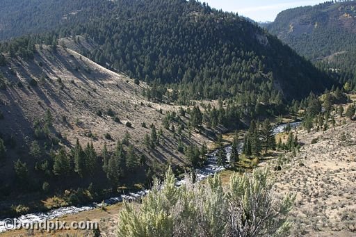 Yellowstone Park