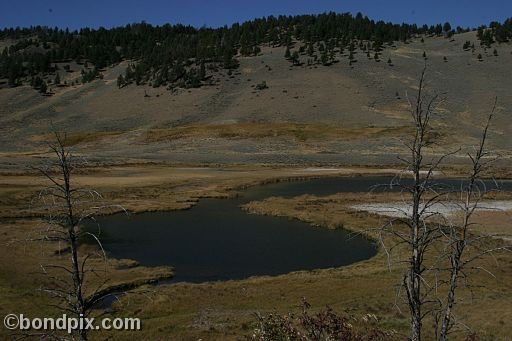 Yellowstone Park