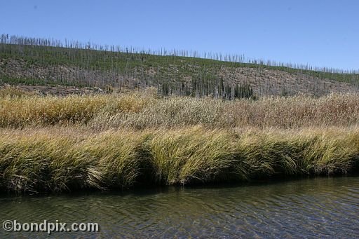 Yellowstone Park