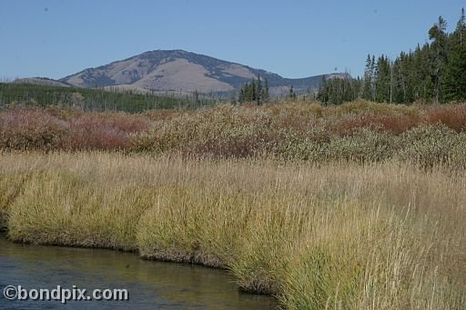 Yellowstone Park