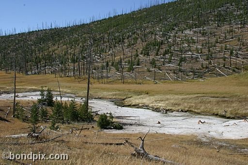 Yellowstone Park