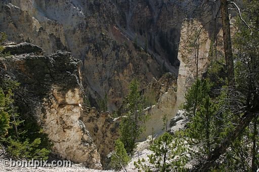 The Grand Canyon of Yellowstone Park