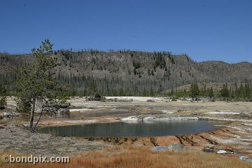 Yellowstone Park