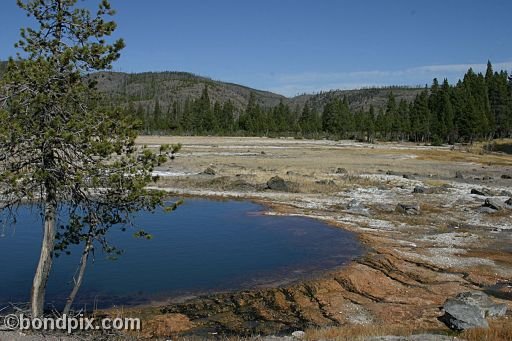 Yellowstone Park