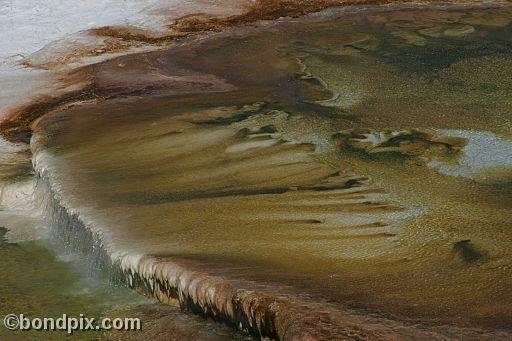 Some of the natural features of Yellowstone Park