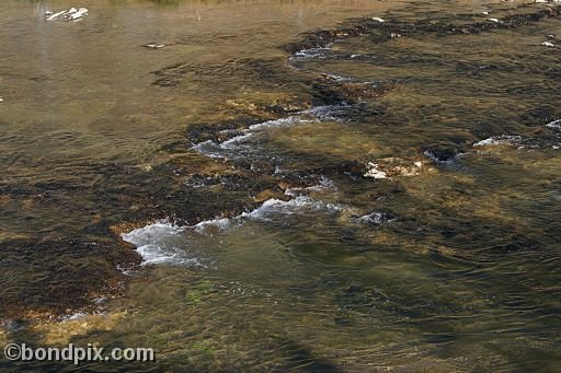 Some of the natural features of Yellowstone Park