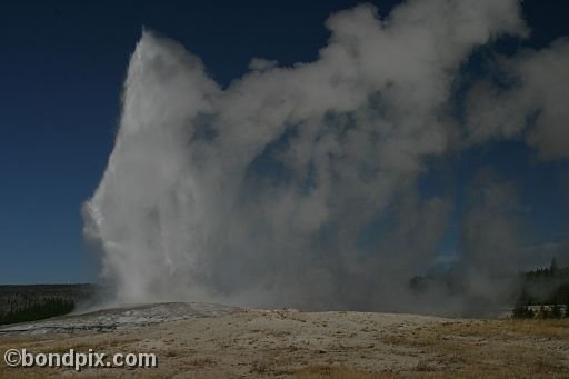 Old Faithful geyser errupts in Yellowstone Park