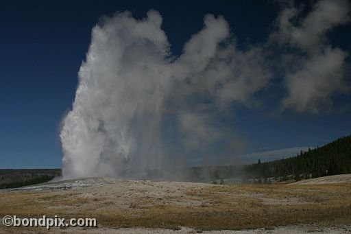 Old Faithful geyser errupts in Yellowstone Park