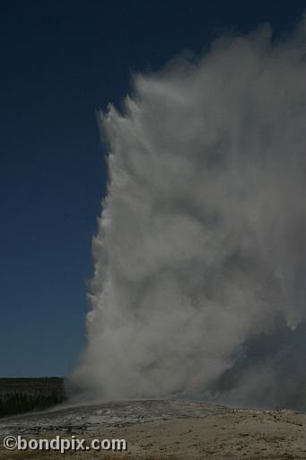 Old Faithful geyser errupts in Yellowstone Park