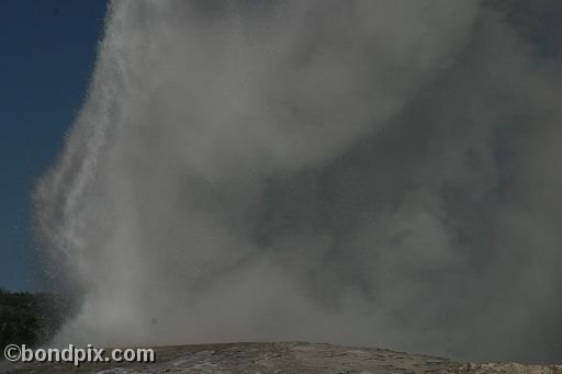 Old Faithful geyser errupts in Yellowstone Park