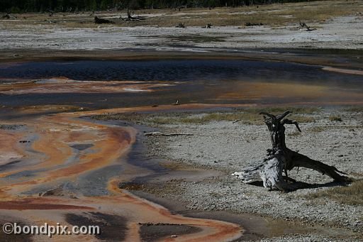 Some of the natural features of Yellowstone Park