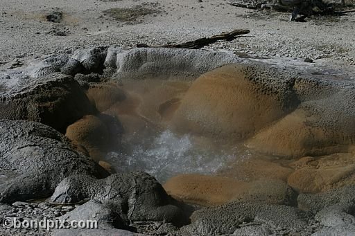 Some of the natural features of Yellowstone Park