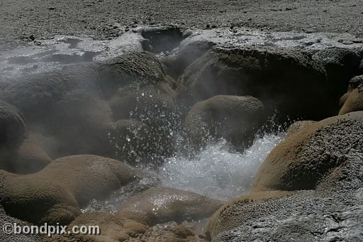 Some of the natural features of Yellowstone Park