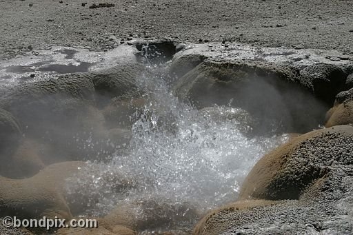 Some of the natural features of Yellowstone Park