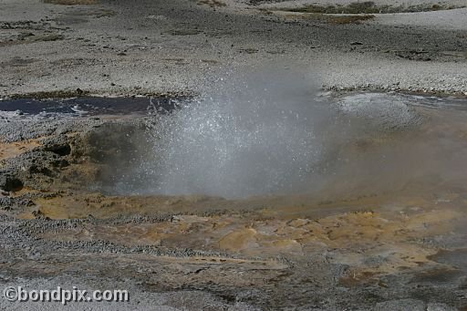 Some of the natural features of Yellowstone Park