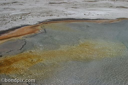 Some of the natural features of Yellowstone Park