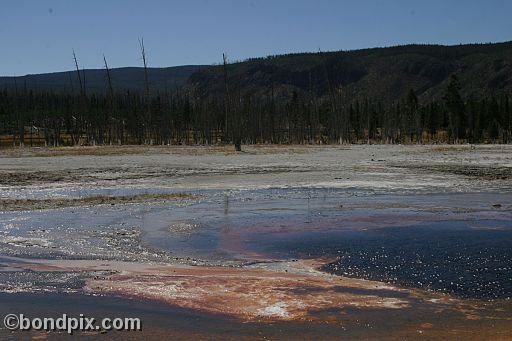 Some of the natural features of Yellowstone Park