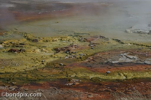 Some of the natural features of Yellowstone Park