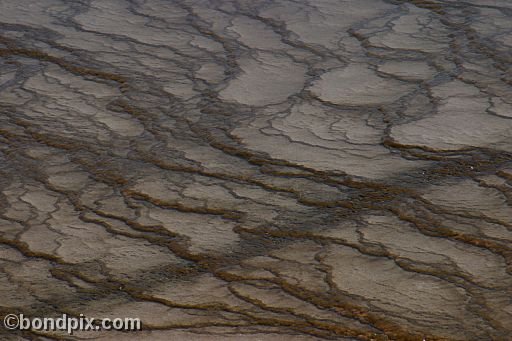 Some of the natural features of Yellowstone Park