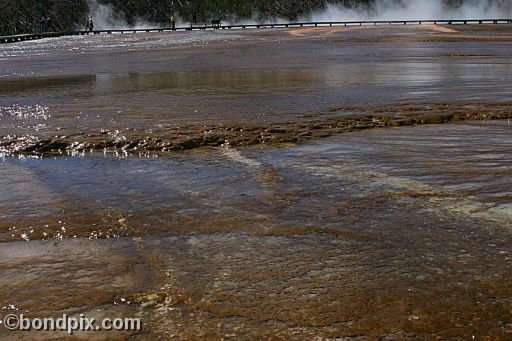 Some of the natural features of Yellowstone Park