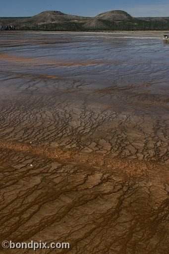 Some of the natural features of Yellowstone Park