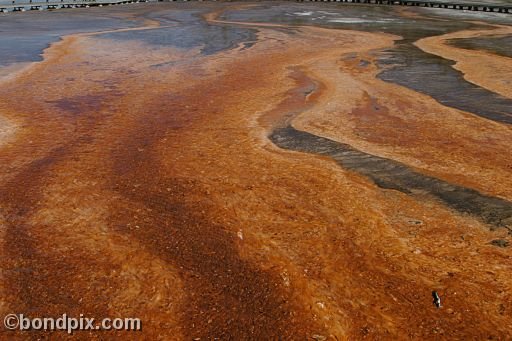 Some of the natural features of Yellowstone Park